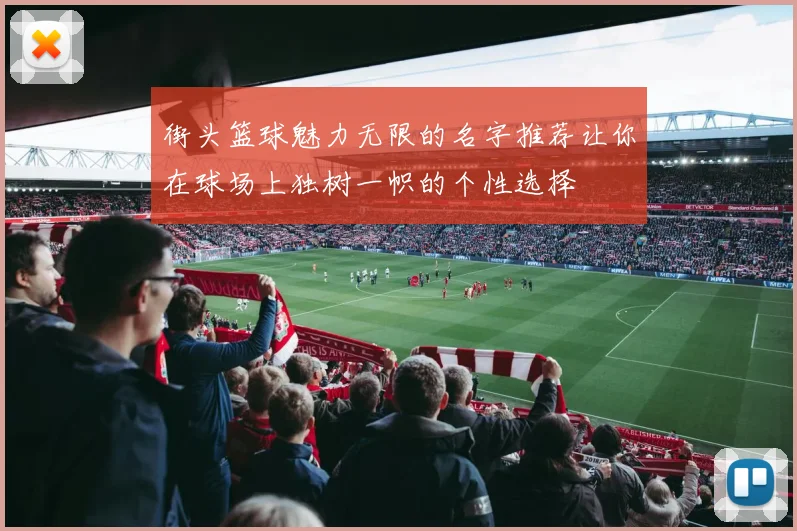 街头篮球魅力无限的名字推荐让你在球场上独树一帜的个性选择