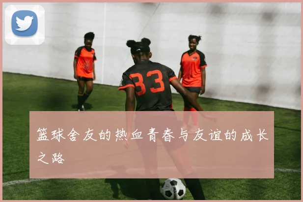 篮球舍友的热血青春与友谊的成长之路