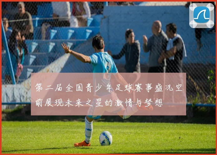 第二届全国青少年足球赛事盛况空前展现未来之星的激情与梦想