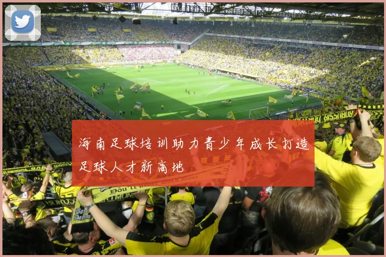 海南足球培训助力青少年成长打造足球人才新高地